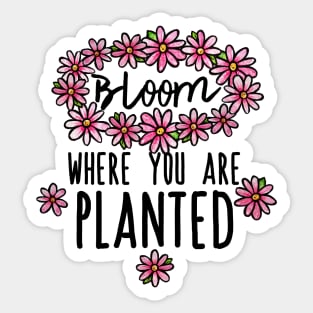 Bloom where you are planted Sticker